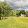 swaledale meadows print