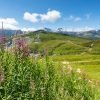 Charmillon Mont Buet in summer