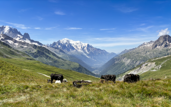 Chamonix print