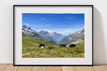 From the high slopes above Le Tour, the Chamonix Valley opens towards the great peaks of the French Alps, France