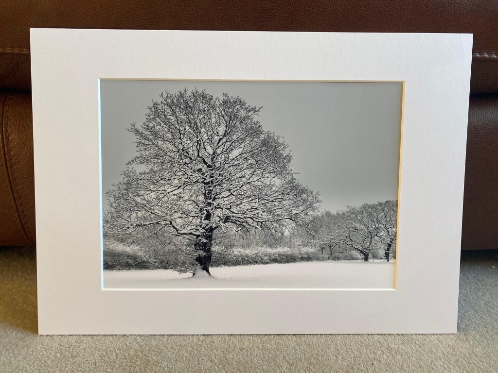 A solitary oak stands in a snow-covered Derbyshire landscape – view 7
