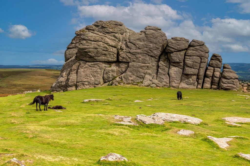 Haytor Rocks rise above the open landscape of Dartmoor – view 2