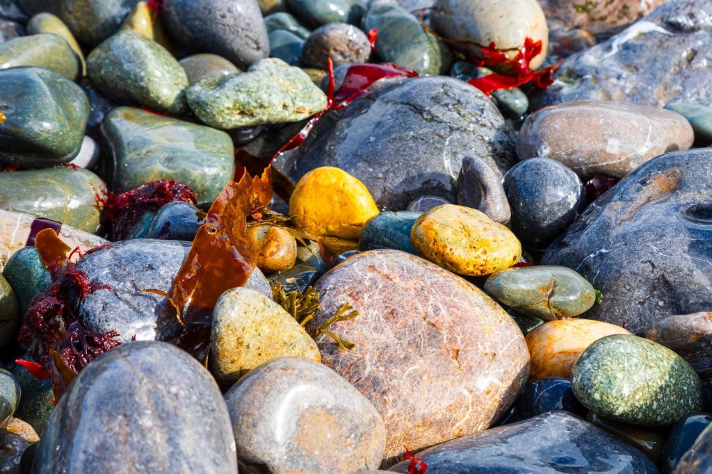 Rounded beach pebbles, polished by the sea, fill this close-up coastal photograph with colour and texture, Wales – view 2