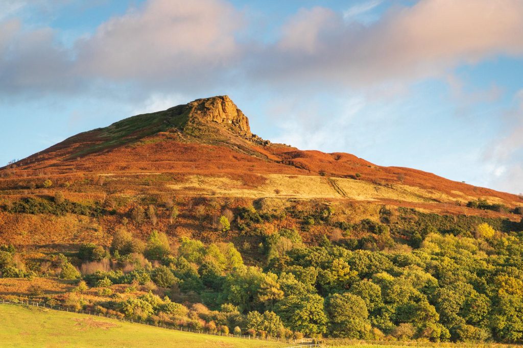 Roseberry Topping rises above the North York Moors in a rich autumn landscape of russet heather, bracken, Yorkshire – view 2