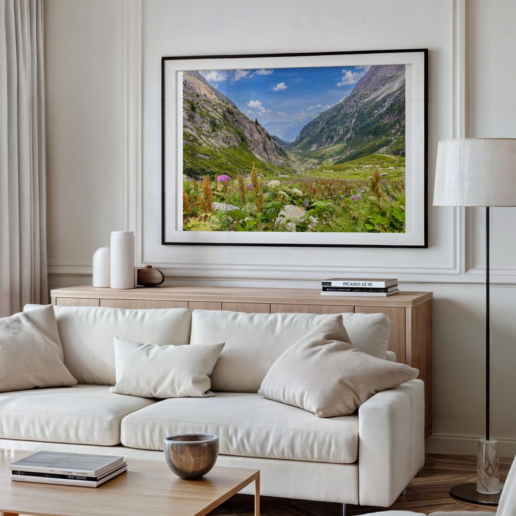 Wildflowers and grasses frame a view into the Bérard Valley near Vallorcine, France – view 4