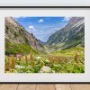 Wildflowers and grasses frame a view into the Bérard Valley near Vallorcine, France
