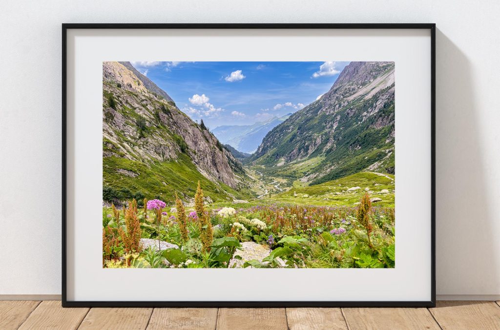 Wildflowers and grasses frame a view into the Bérard Valley near Vallorcine, France