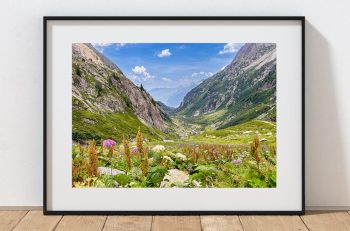 Wildflowers and grasses frame a view into the Bérard Valley near Vallorcine, France