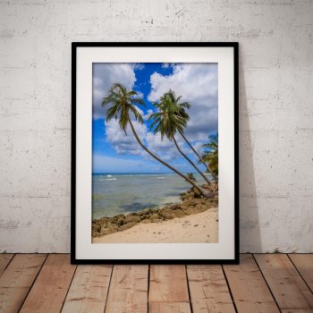 Palm trees lean towards the sea on a bright Barbados shoreline