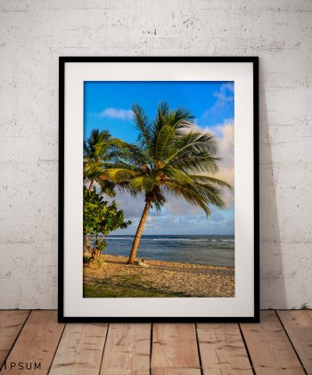 A solitary palm tree leans towards the sea on a quiet Barbados beach in the warm light before sunset